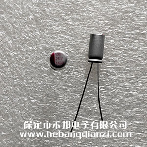 �̑B(t��i)���100uF